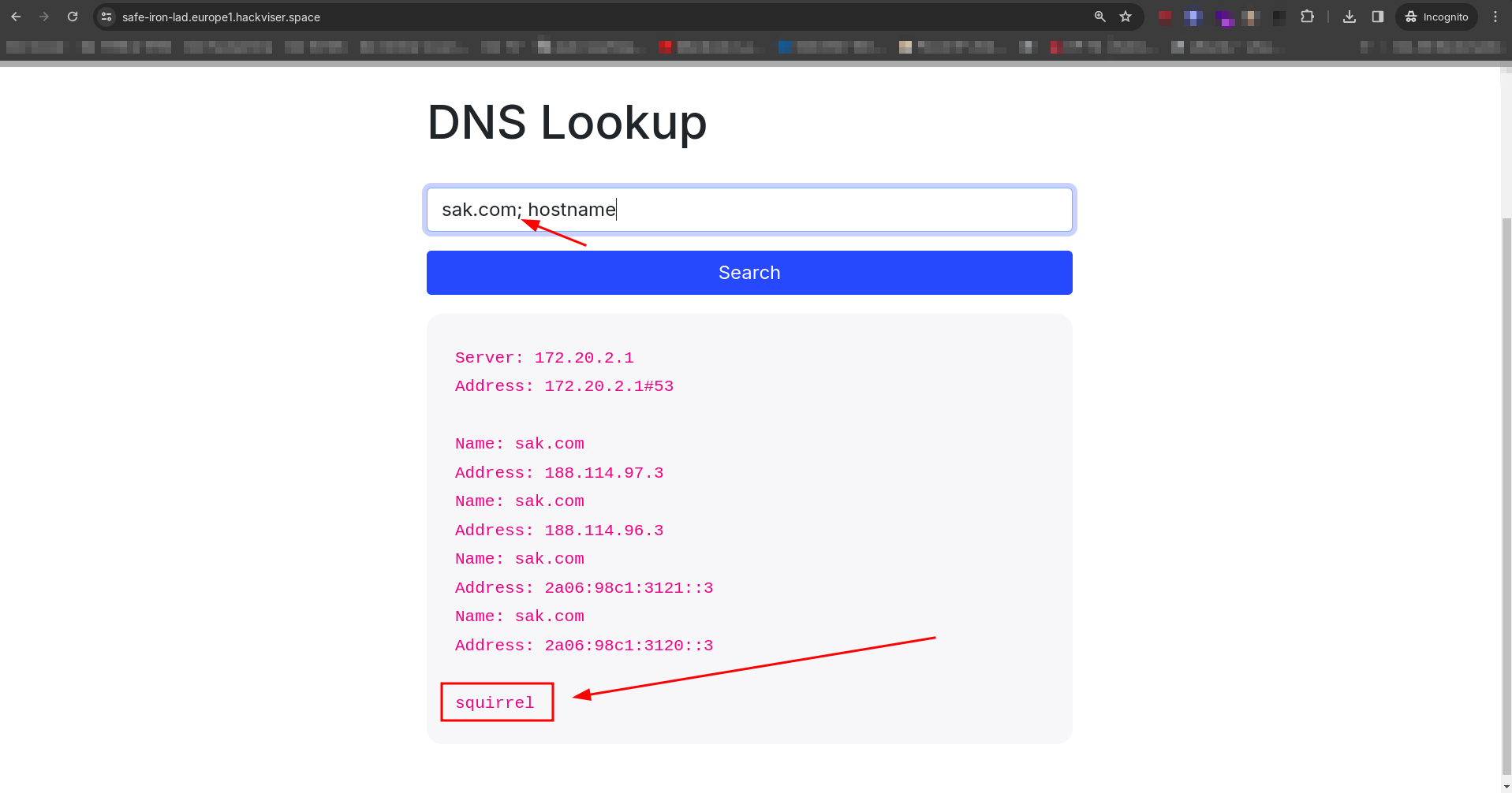 Hackviser - Basic Command Injection Writeup